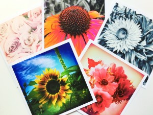 Floral Art Cards – Set of Ten