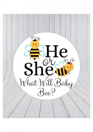 12 x What will baby bee stickers, he or she stickers, baby shower favour stickers, bee baby shower, gender reveal stickers, 045