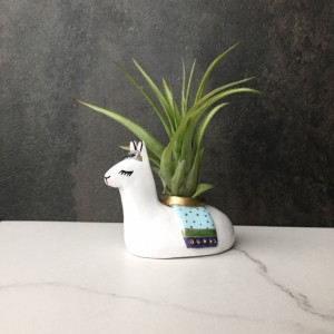 Mini Llama, Air Plant Holder, Whimsical Llama Art, Animal Totem, Home Office, Cubicle Decor, Cute Desk Accessories, Birthday Gifts for Women
