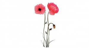 Temporary Tattoo Watercolor Poppies