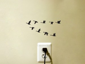 birds wall decals