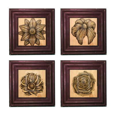 flower-series-together