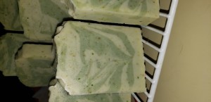 Organic Aloe Vera, Cucumber Soap