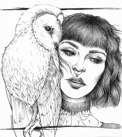 owl-portrait